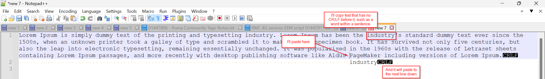 Issues with copy/paste on v8.6 | Notepad++ Community