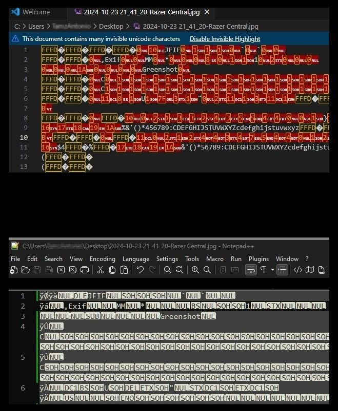 Vs-Notepad++(binary).jpg